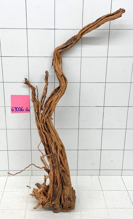 63006Cu - Curlwood Wurzel Holz
