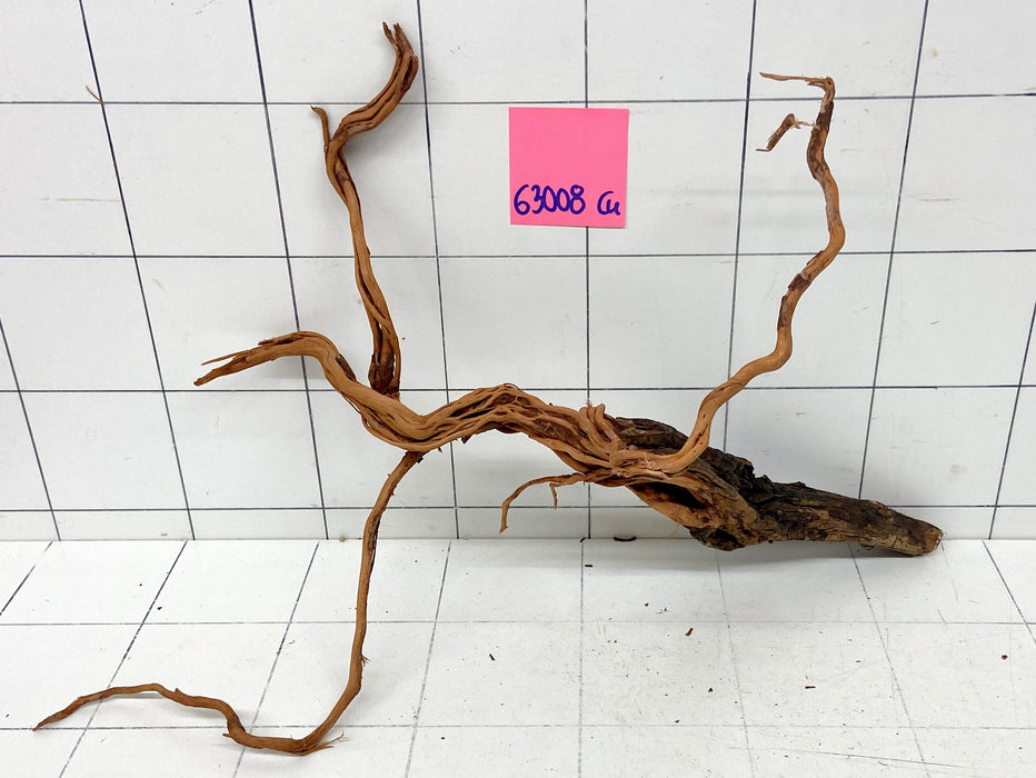 63008Cu - Curlwood Wurzel Holz