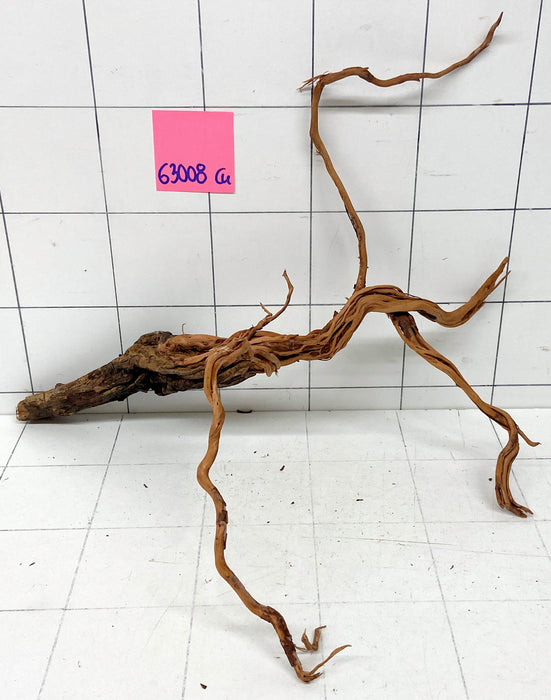 63008Cu - Curlwood Wurzel Holz