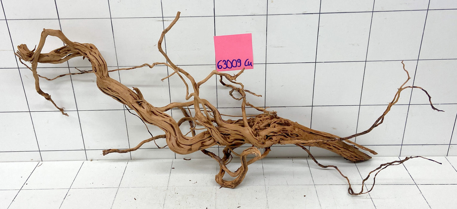 63009Cu - Curlwood Wurzel Holz