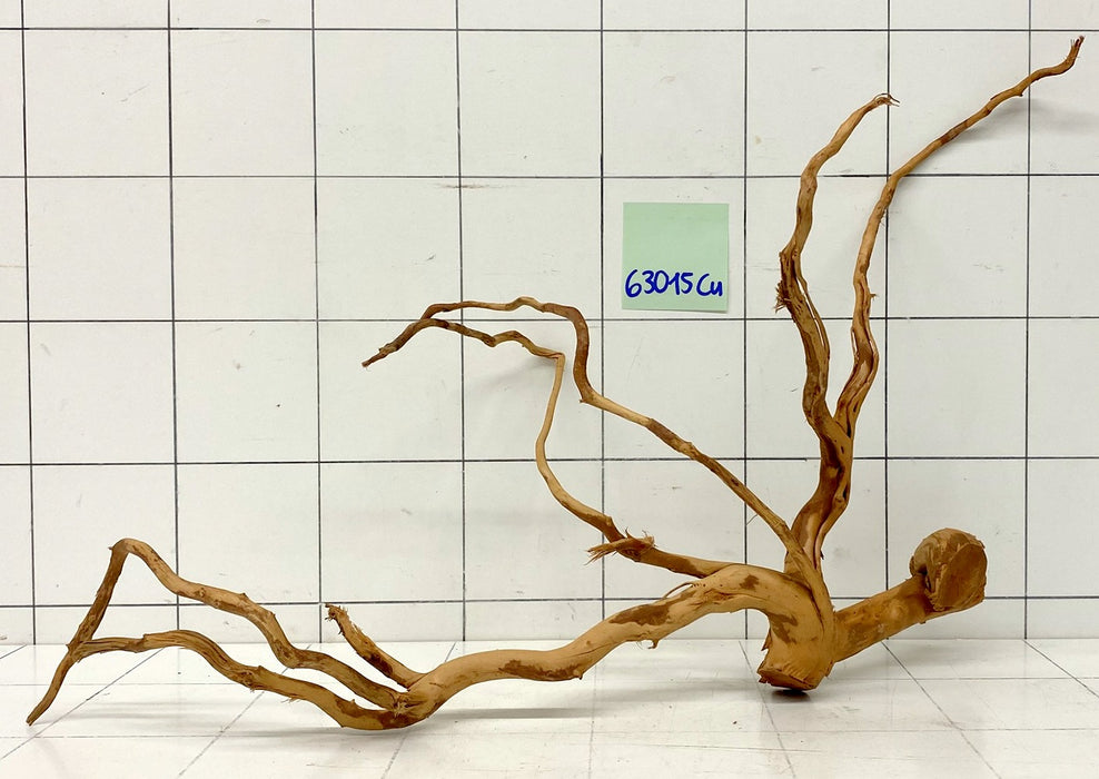 63015Cu - Curlwood Wurzel Holz