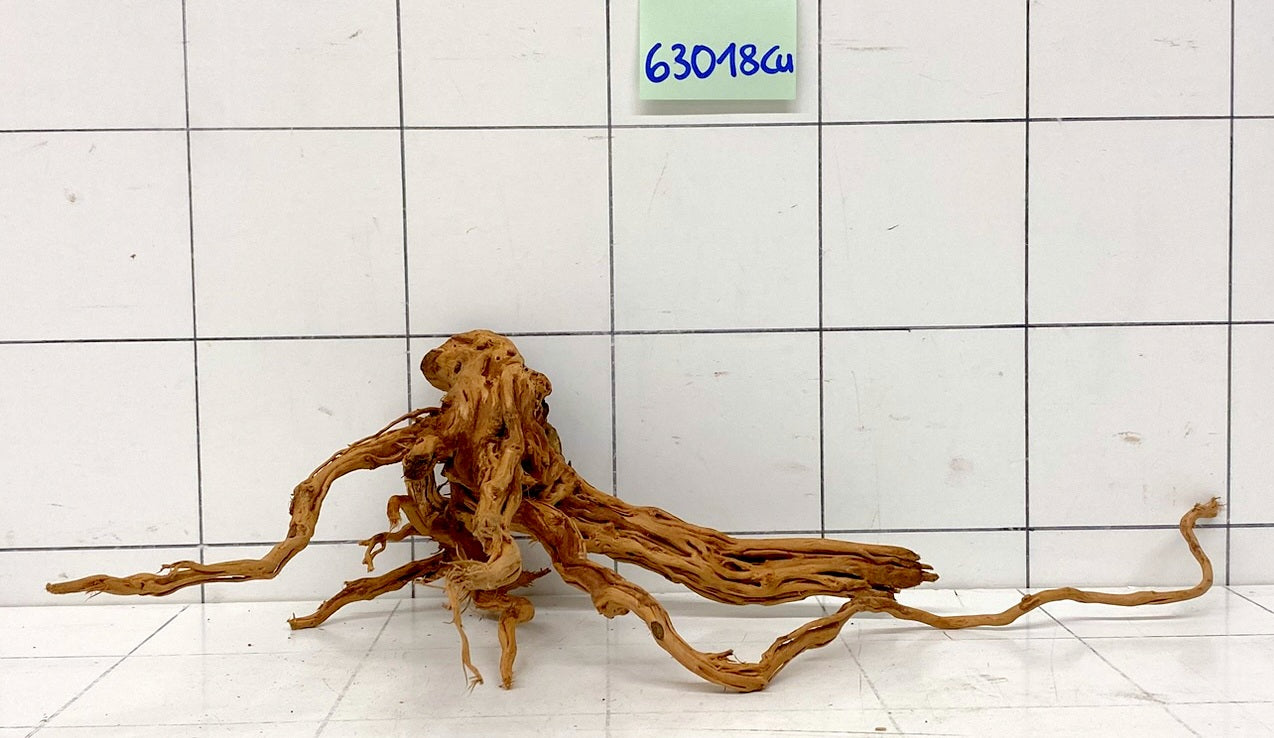 Curlwood 63018Cu