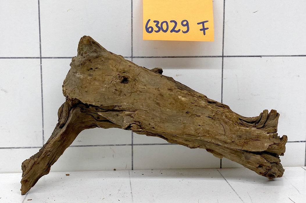 63029F Flussholz / Driftwood / Flusswurzel