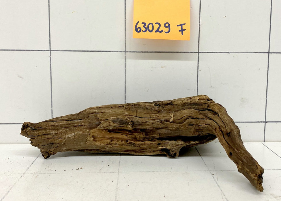 63029F Flussholz / Driftwood / Flusswurzel