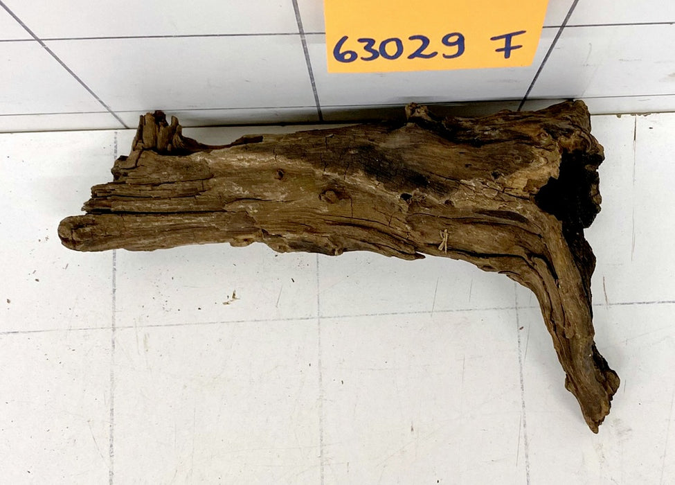 63029F Flussholz / Driftwood / Flusswurzel