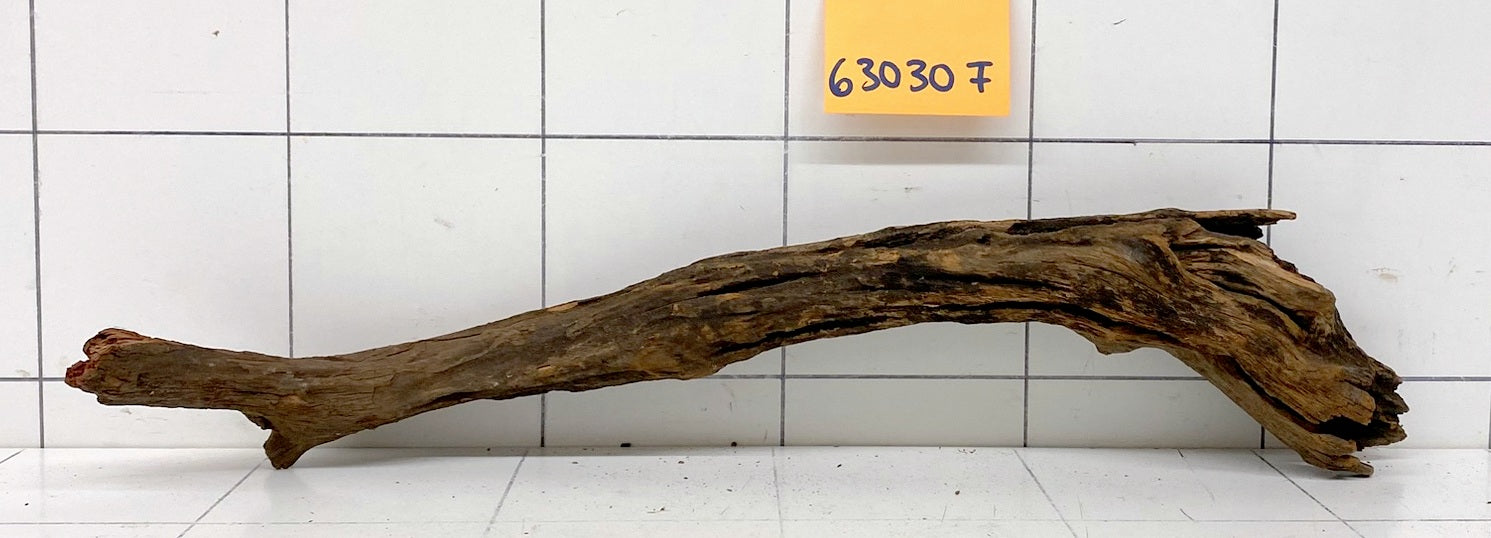 63030F Flussholz / Driftwood / Flusswurzel