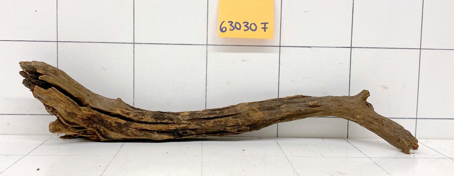 63030F Flussholz / Driftwood / Flusswurzel