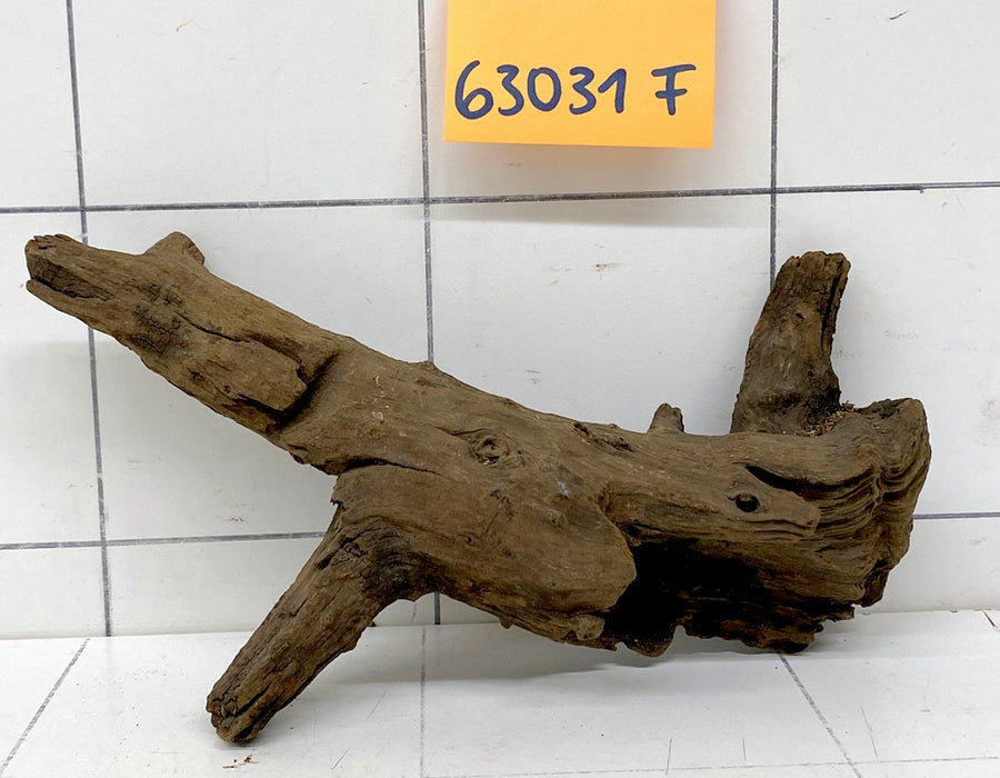63031F Flussholz / Driftwood / Flusswurzel
