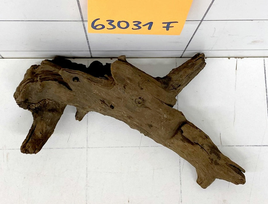63031F Flussholz / Driftwood / Flusswurzel