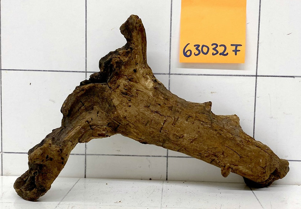 63032F Flussholz / Driftwood / Flusswurzel