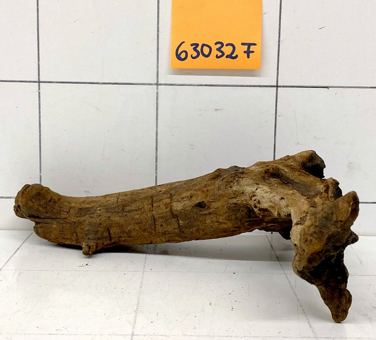 63032F Flussholz / Driftwood / Flusswurzel
