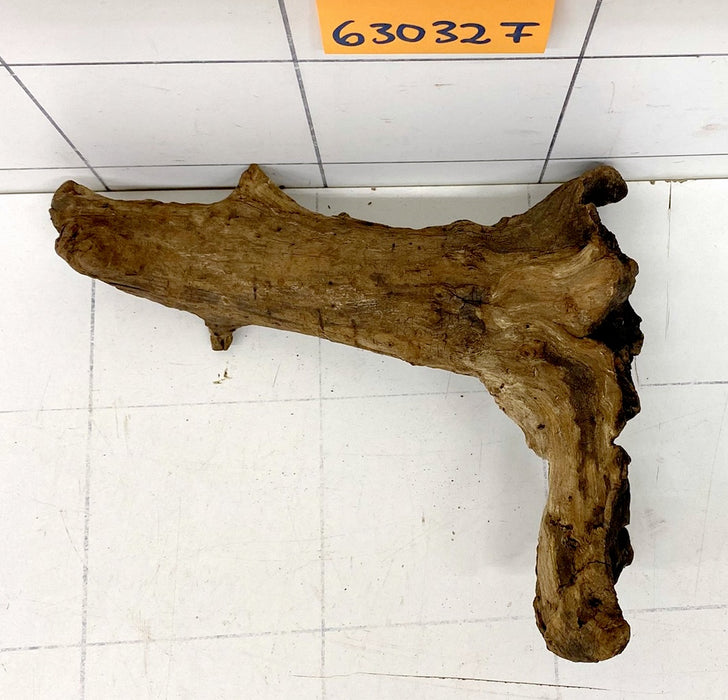 63032F Flussholz / Driftwood / Flusswurzel