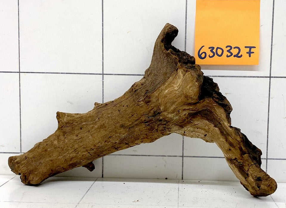 63032F Flussholz / Driftwood / Flusswurzel