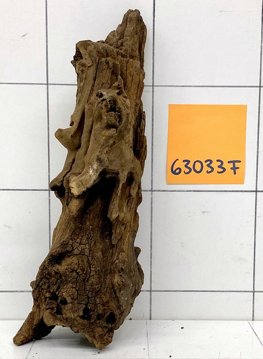 63033F Flussholz / Driftwood / Flusswurzel