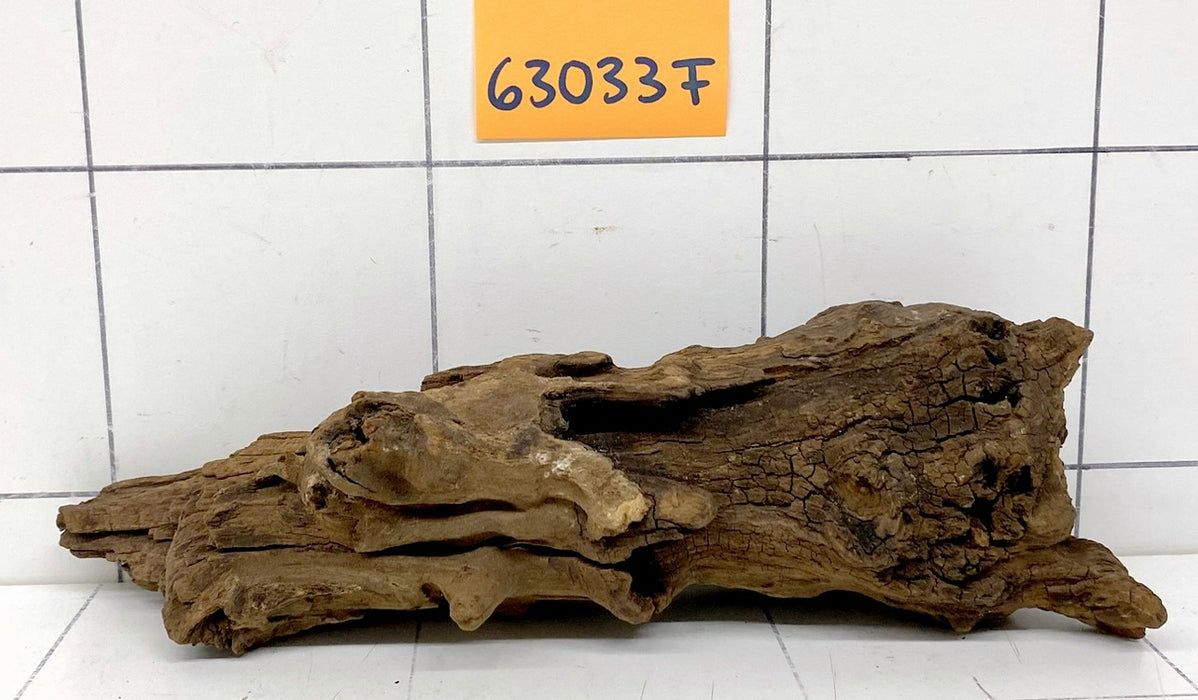 63033F Flussholz / Driftwood / Flusswurzel