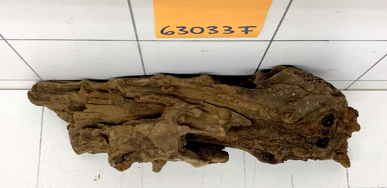 63033F Flussholz / Driftwood / Flusswurzel