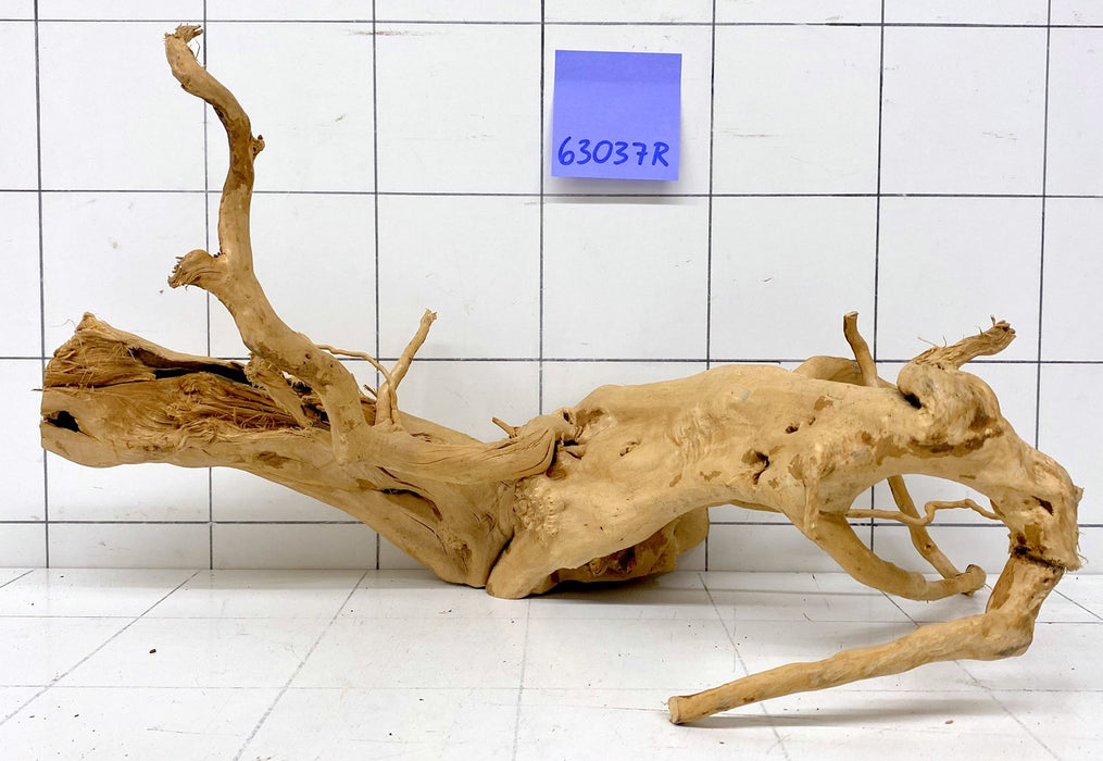 63037R Fingerwood / Rote Moorwurzel Holz