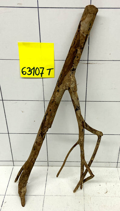 63107T Talawa Wurzel Holz