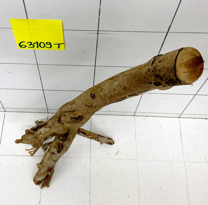 63109T Talawa Wurzel Holz