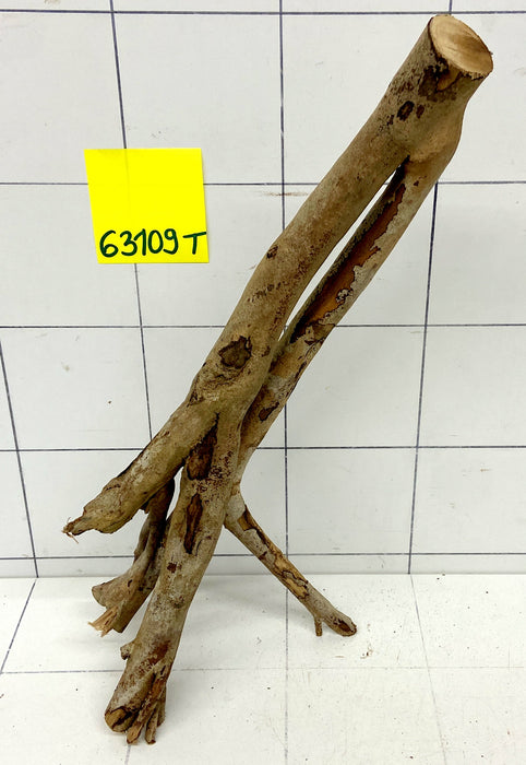 63109T Talawa Wurzel Holz