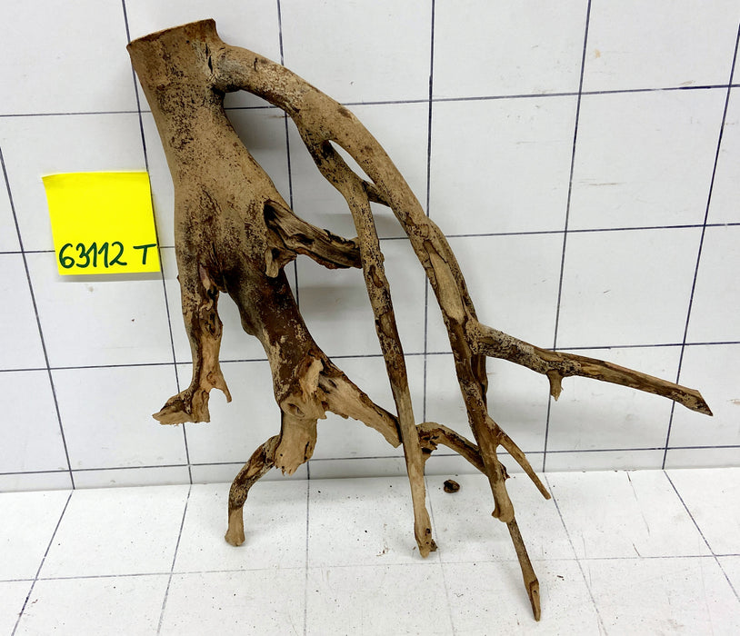 63112T Talawa Wurzel Holz