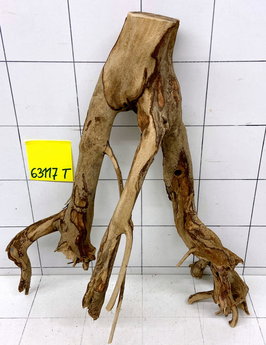 63117T Talawa Wurzel Holz