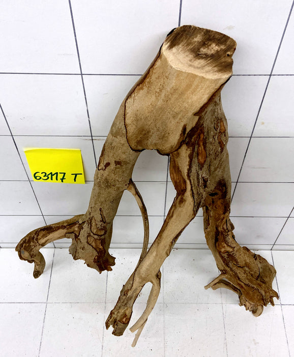 63117T Talawa Wurzel Holz