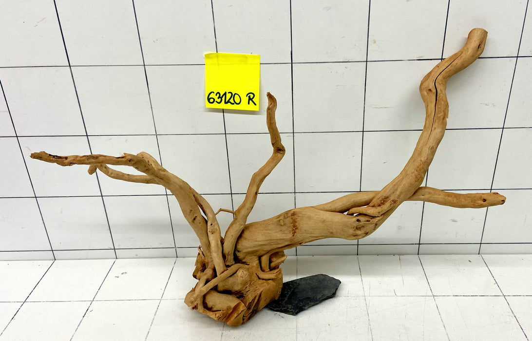 63120R Fingerwood / Rote Moorwurzel Holz
