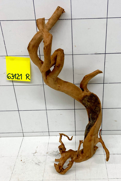 63121R Fingerwood / Rote Moorwurzel Holz