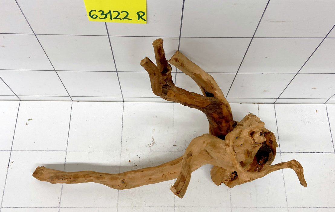 63122R Fingerwood / Rote Moorwurzel Holz