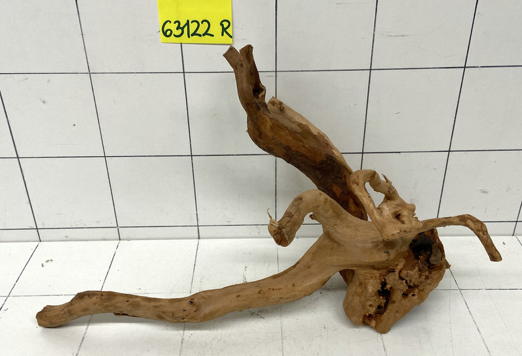 63122R Fingerwood / Rote Moorwurzel Holz