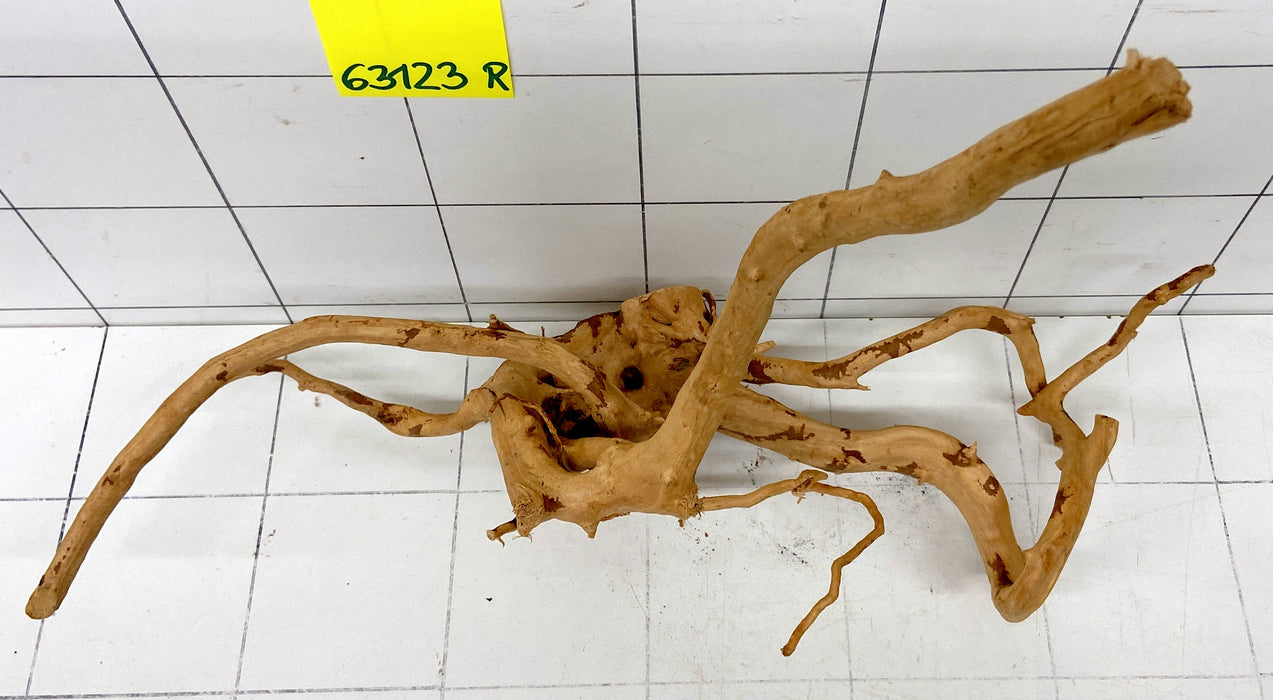 63123R Fingerwood / Rote Moorwurzel Holz