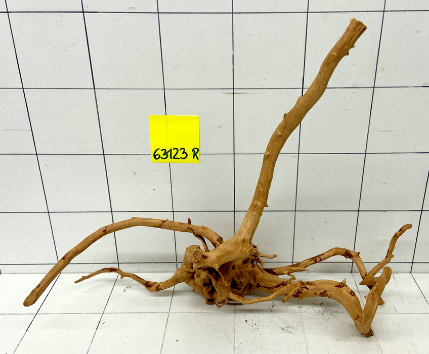 63123R Fingerwood / Rote Moorwurzel Holz