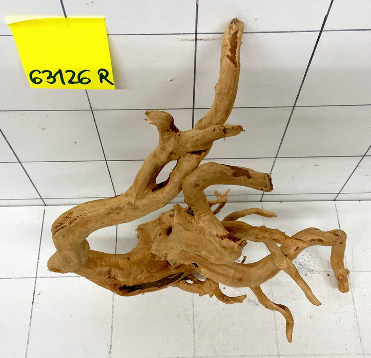 63126R Fingerwood / Rote Moorwurzel Holz