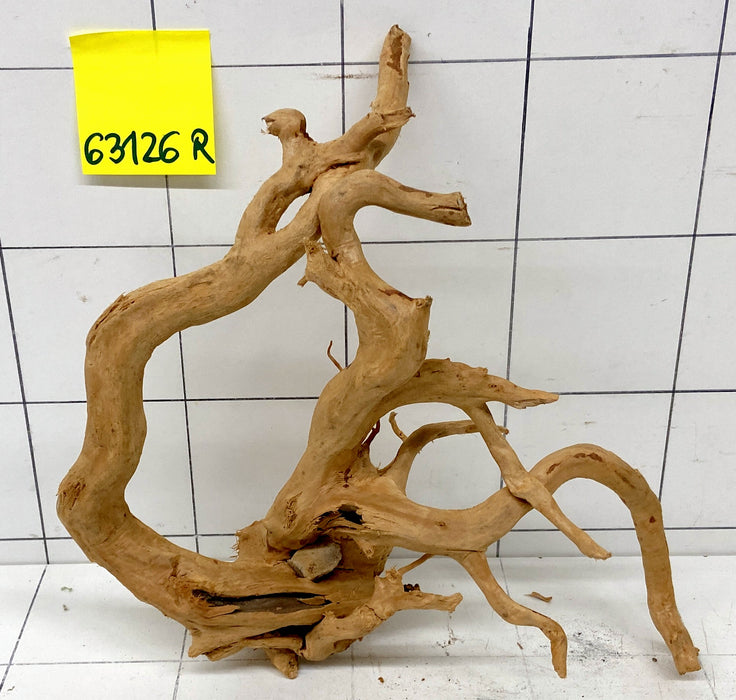 63126R Fingerwood / Rote Moorwurzel Holz