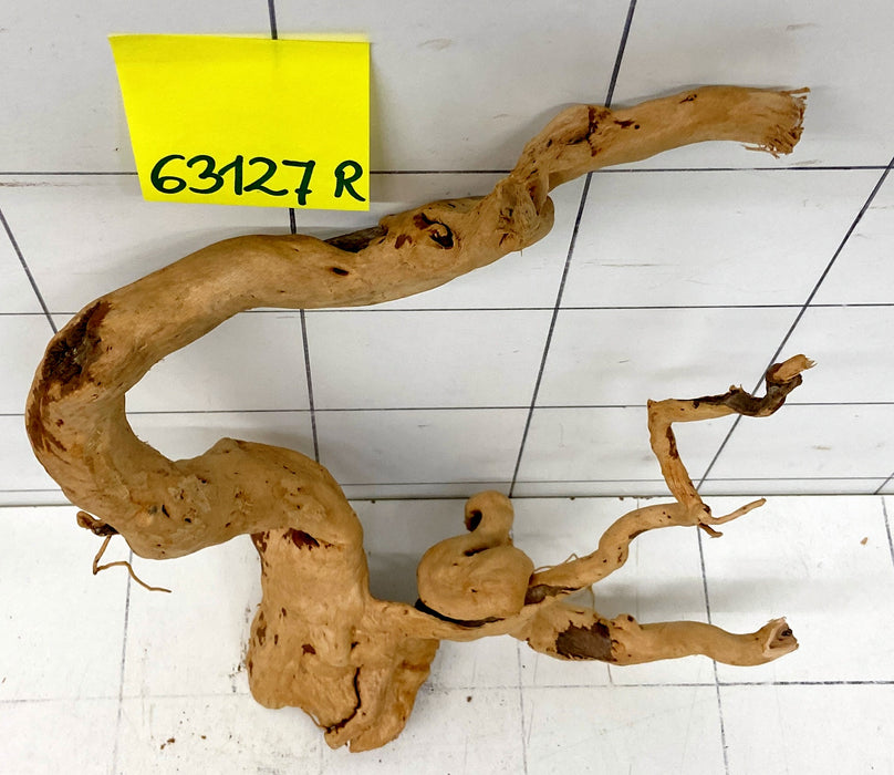 63127R Fingerwood / Rote Moorwurzel Holz