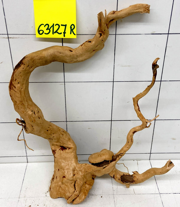 63127R Fingerwood / Rote Moorwurzel Holz