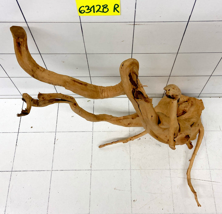 63128R Fingerwood / Rote Moorwurzel Holz