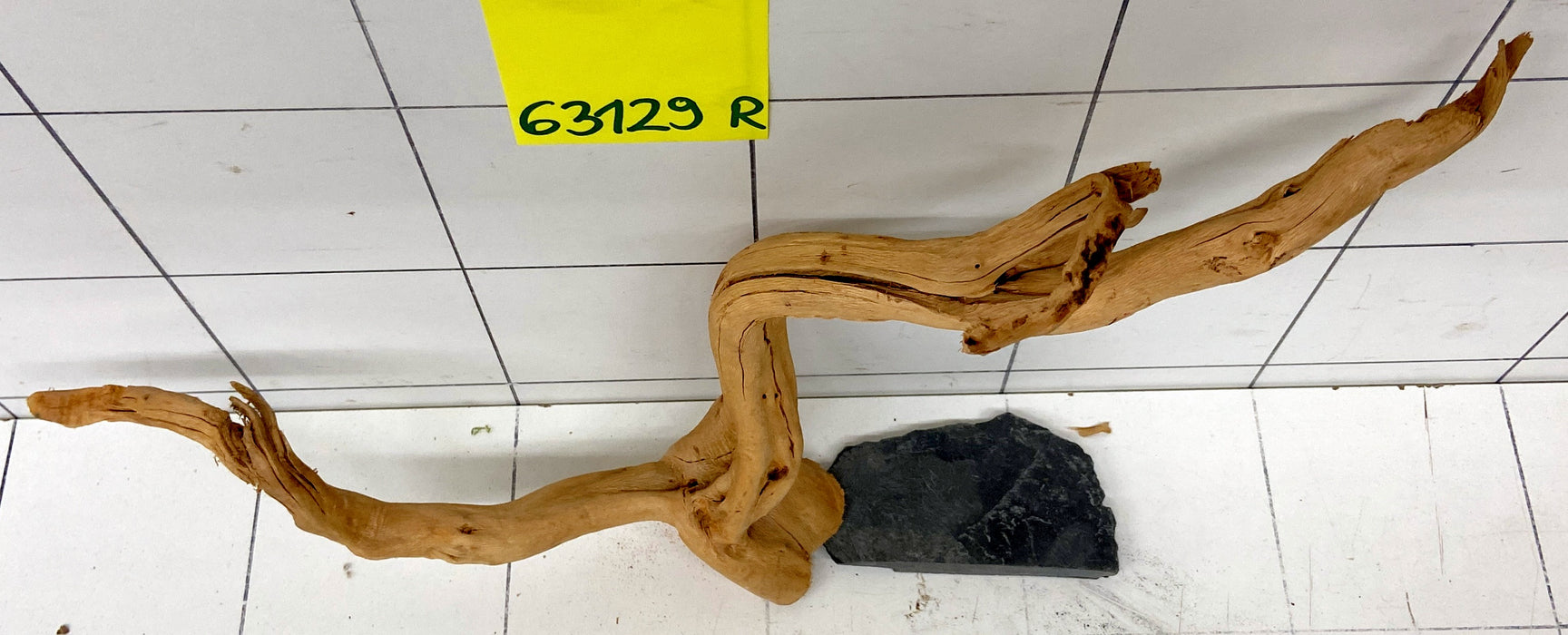 63129R Fingerwood / Rote Moorwurzel Holz