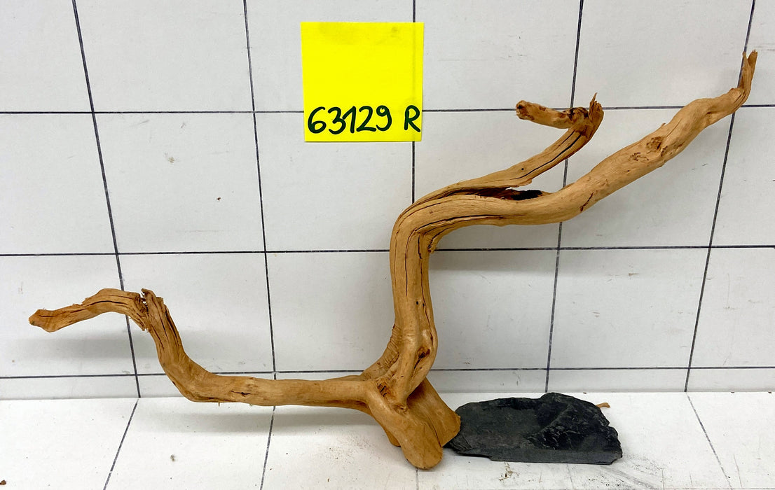 63129R Fingerwood / Rote Moorwurzel Holz