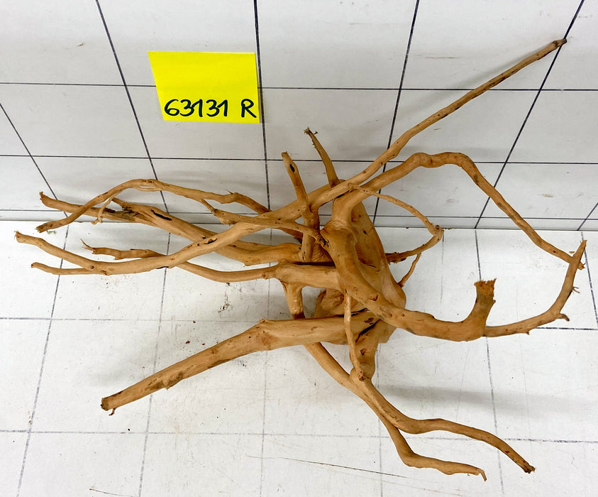 63131R Fingerwood / Rote Moorwurzel Holz