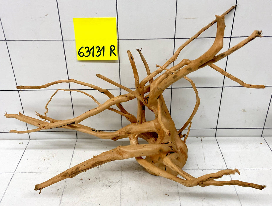 63131R Fingerwood / Rote Moorwurzel Holz