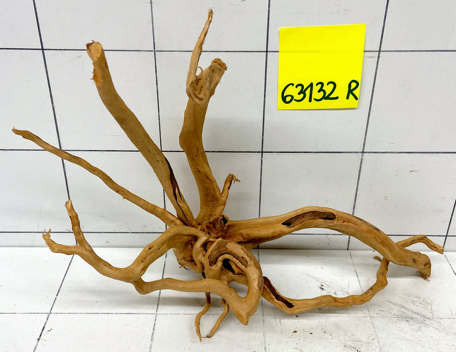63132R Fingerwood / Rote Moorwurzel Holz