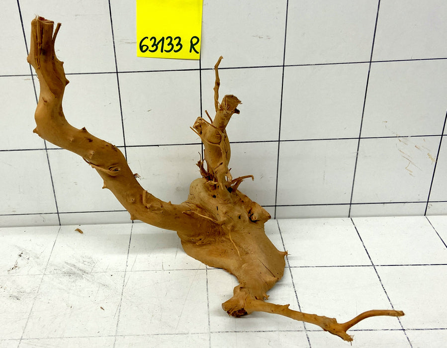 63133R Fingerwood / Rote Moorwurzel Holz