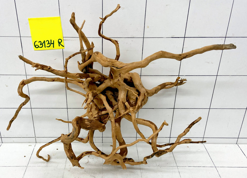 63134R Fingerwood / Rote Moorwurzel Holz