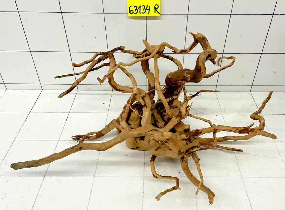 63134R Fingerwood / Rote Moorwurzel Holz