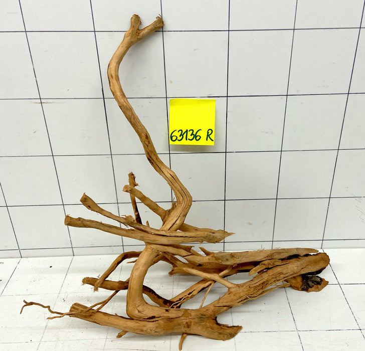 63136R Fingerwood / Rote Moorwurzel Holz