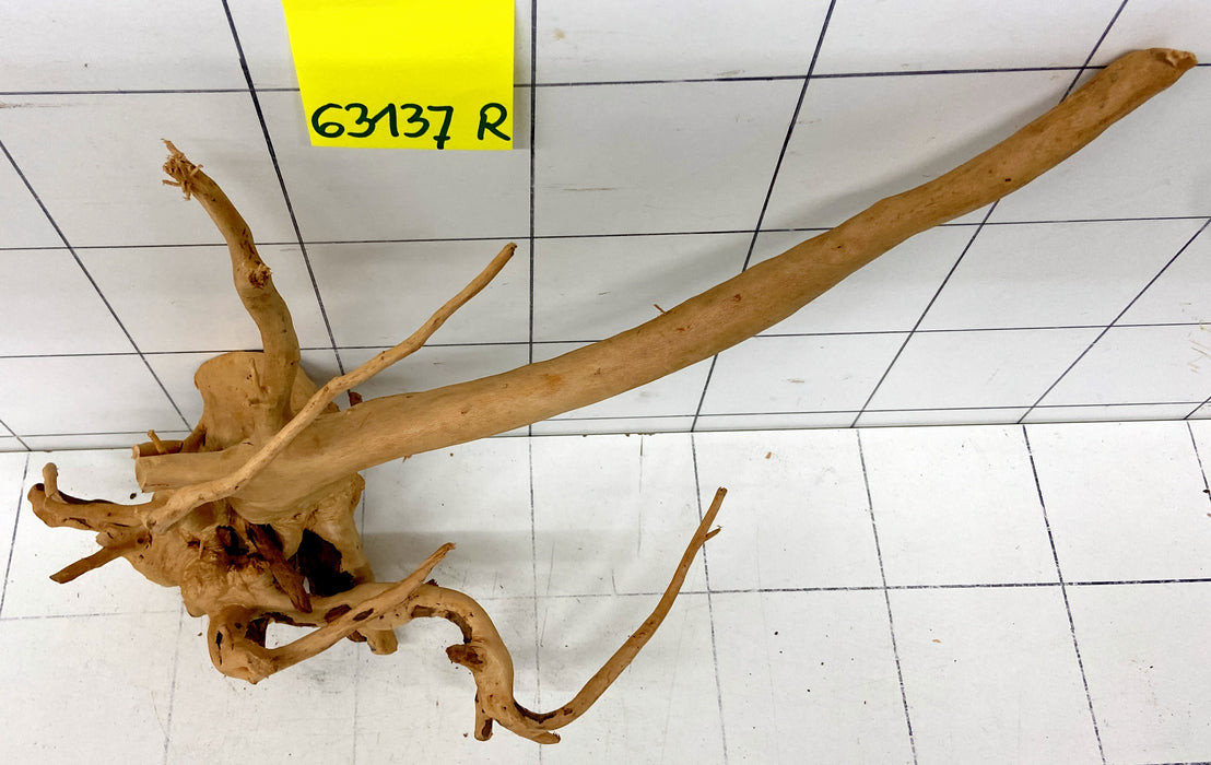63137R Fingerwood / Rote Moorwurzel Holz