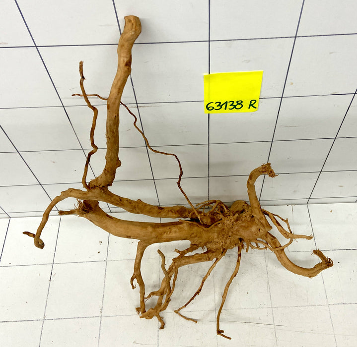 63138R Fingerwood / Rote Moorwurzel Holz