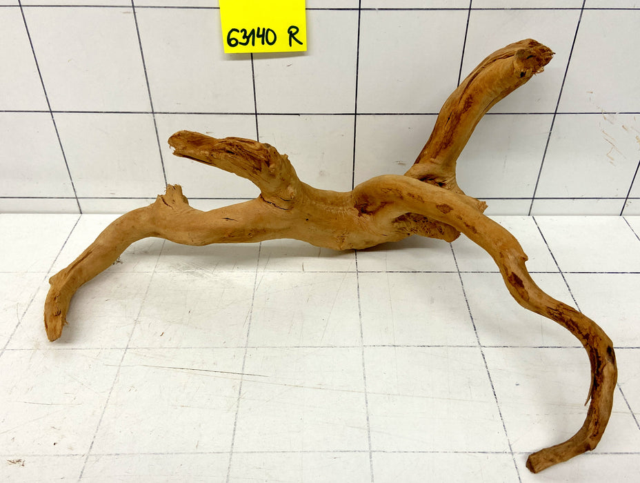 63140R Fingerwood / Rote Moorwurzel Holz